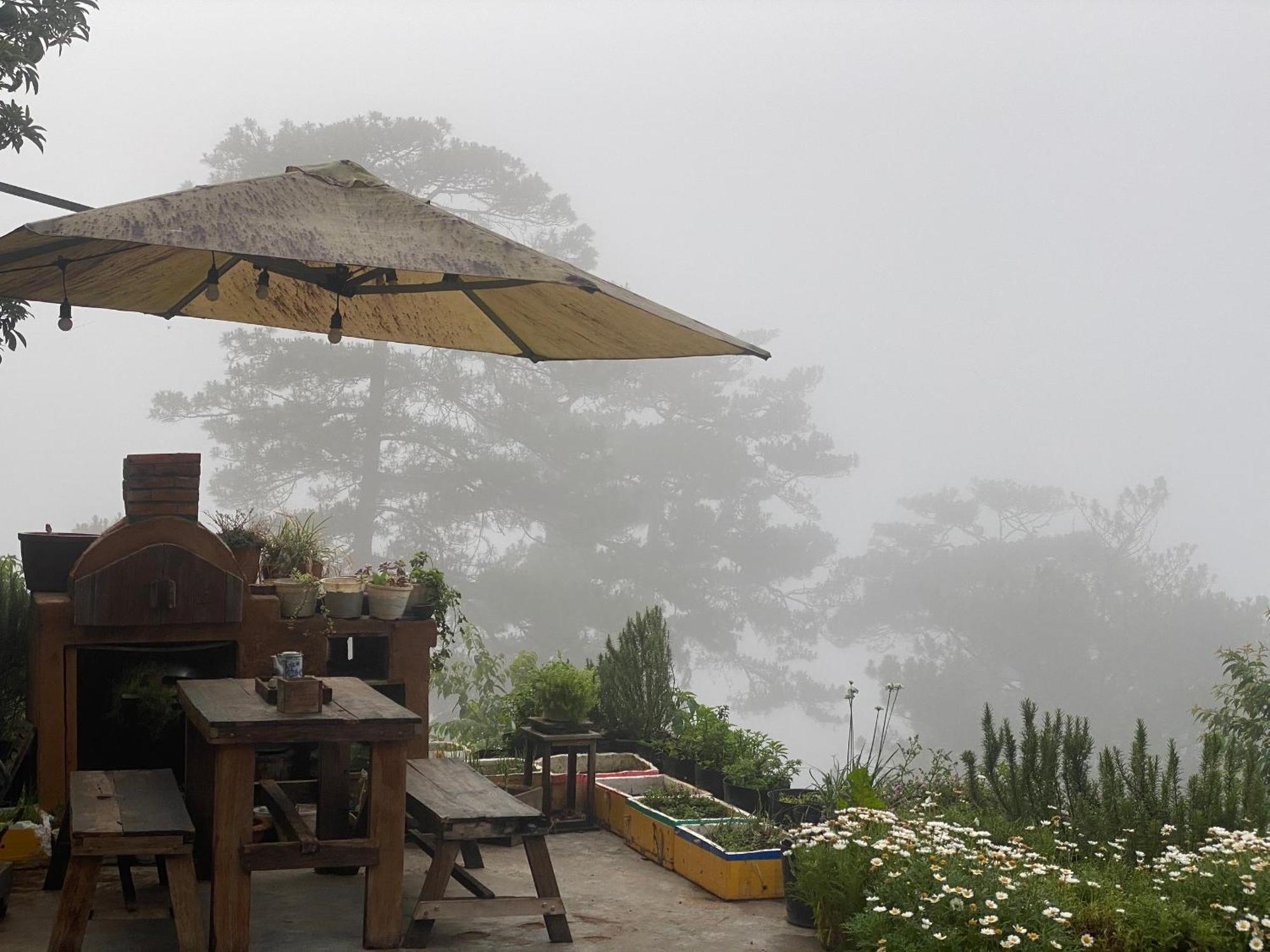 Dalat Memories Homestay - Pho Suong Mo Da Lat Exterior foto