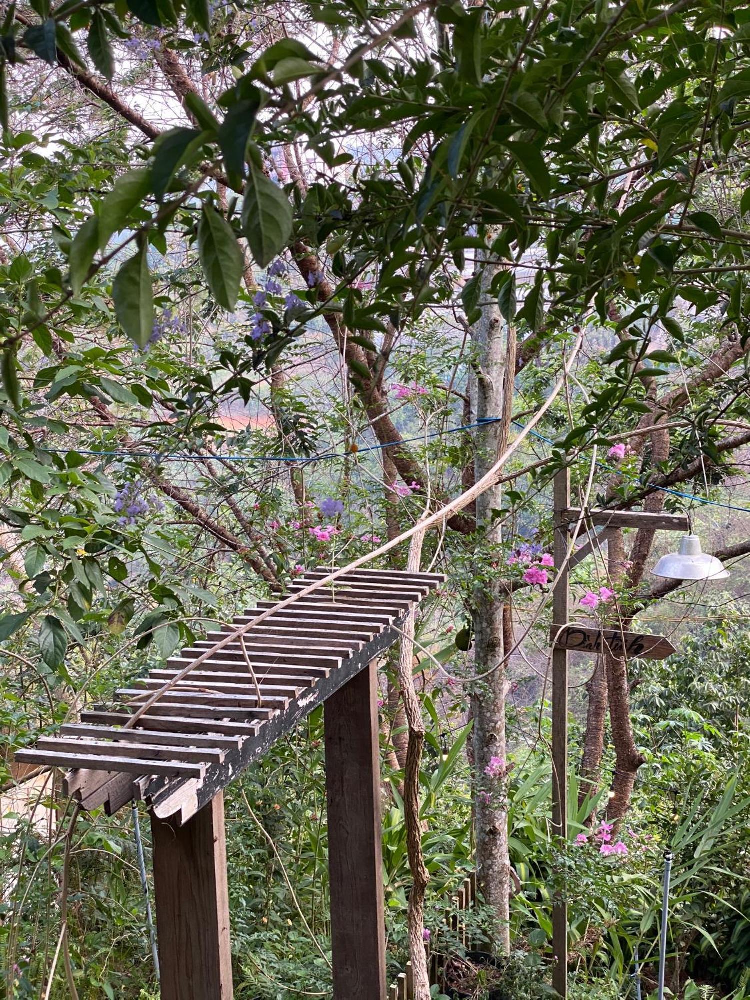 Dalat Memories Homestay - Pho Suong Mo Da Lat Exterior foto