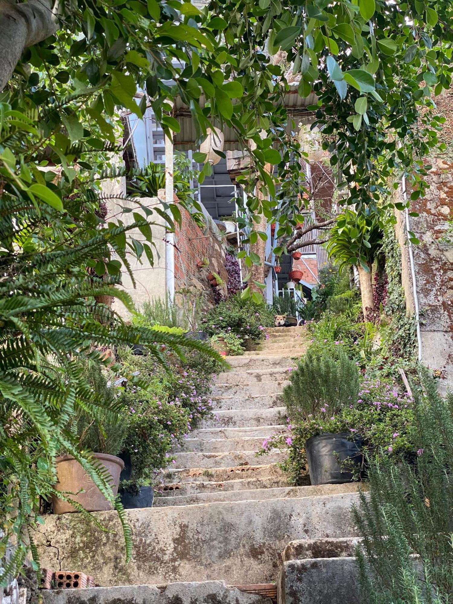 Dalat Memories Homestay - Pho Suong Mo Da Lat Exterior foto