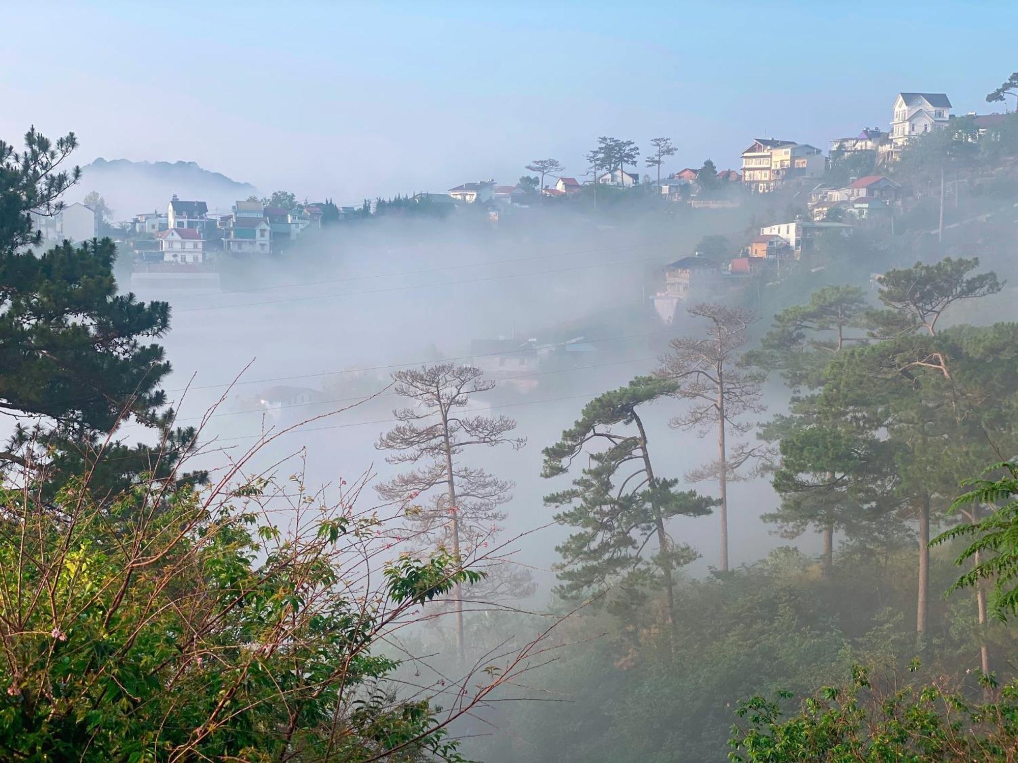 Dalat Memories Homestay - Pho Suong Mo Da Lat Exterior foto