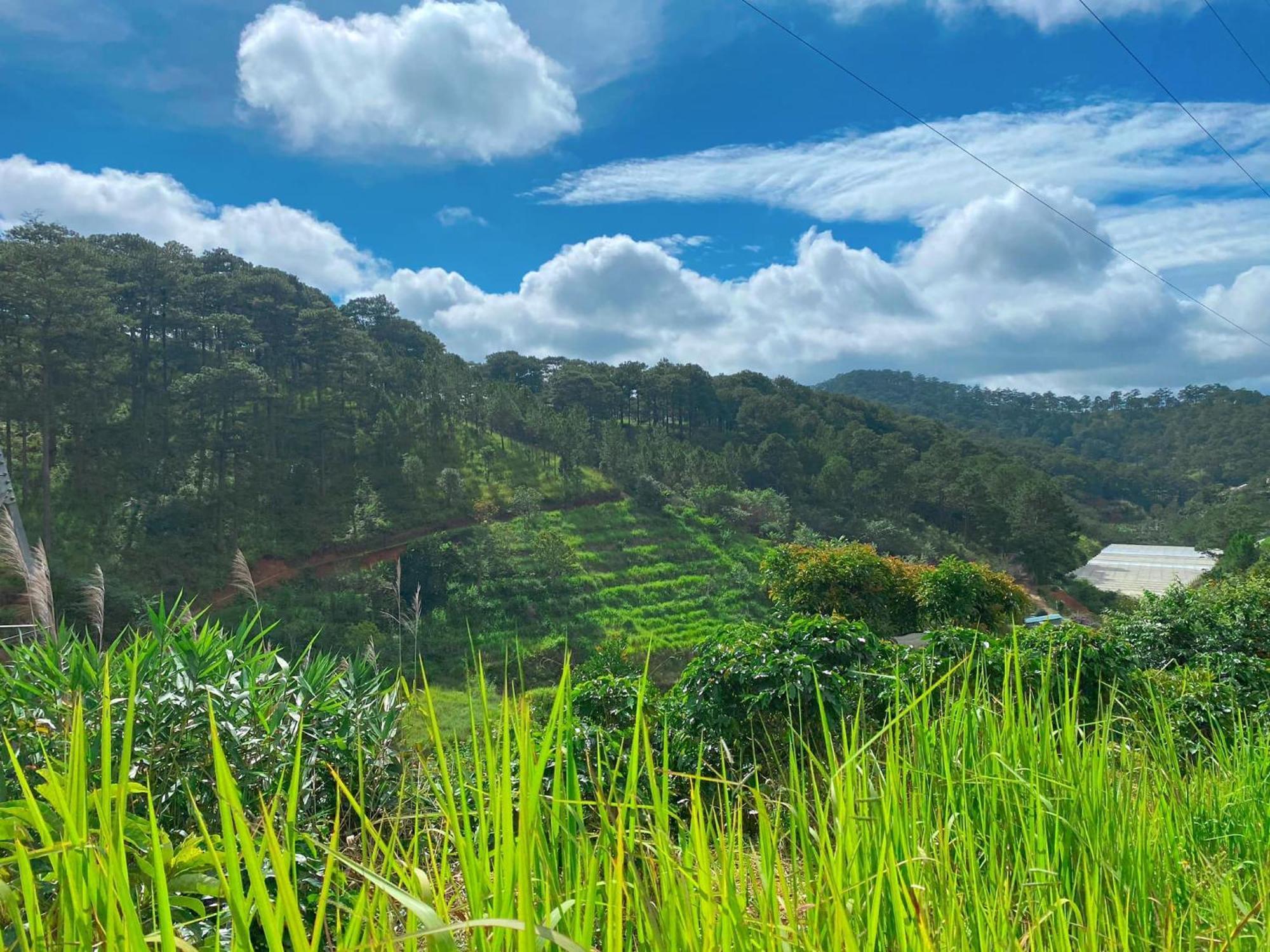 Dalat Memories Homestay - Pho Suong Mo Da Lat Exterior foto